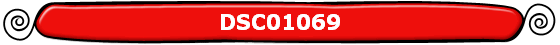 DSC01069